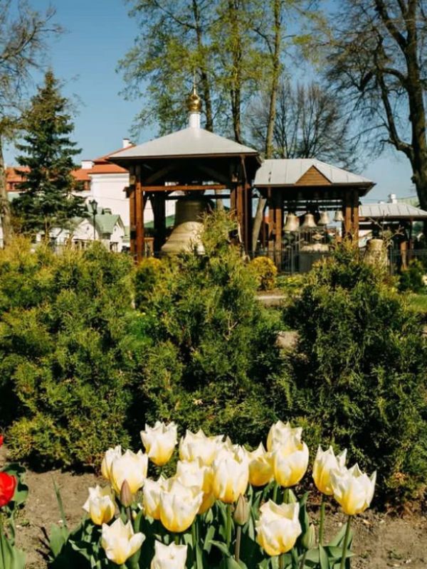 Жировичи - Сынковичи - Великая Кракотка